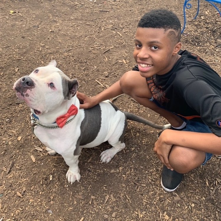 Sir Darius Brown With a Dog Wearing a Bow Tie