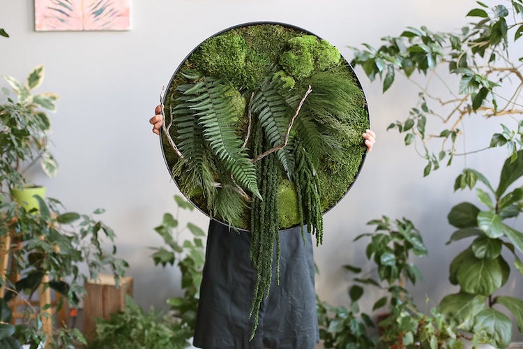 Moss Art by Anna Paschenko 
