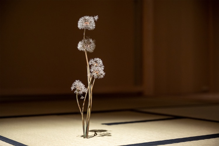 Metal Dandelion Sculptures by Shota Suzuki