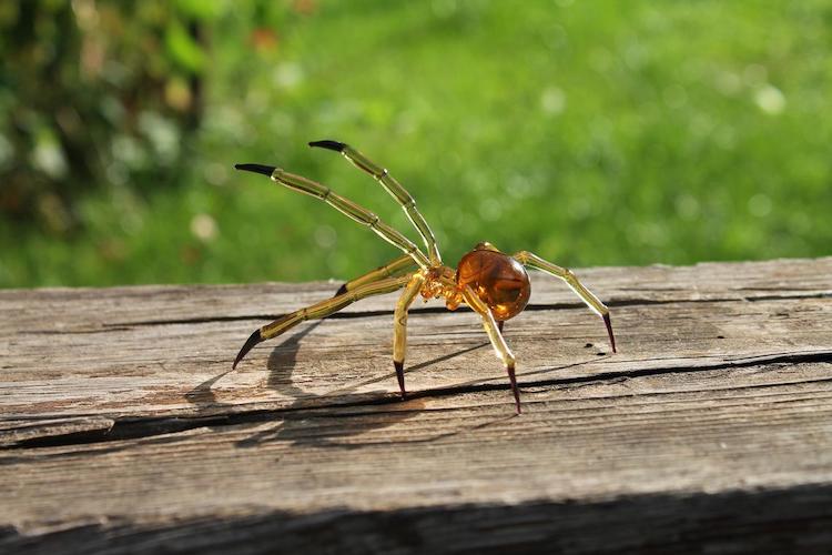 Glass Symphony Hand Blown Glass