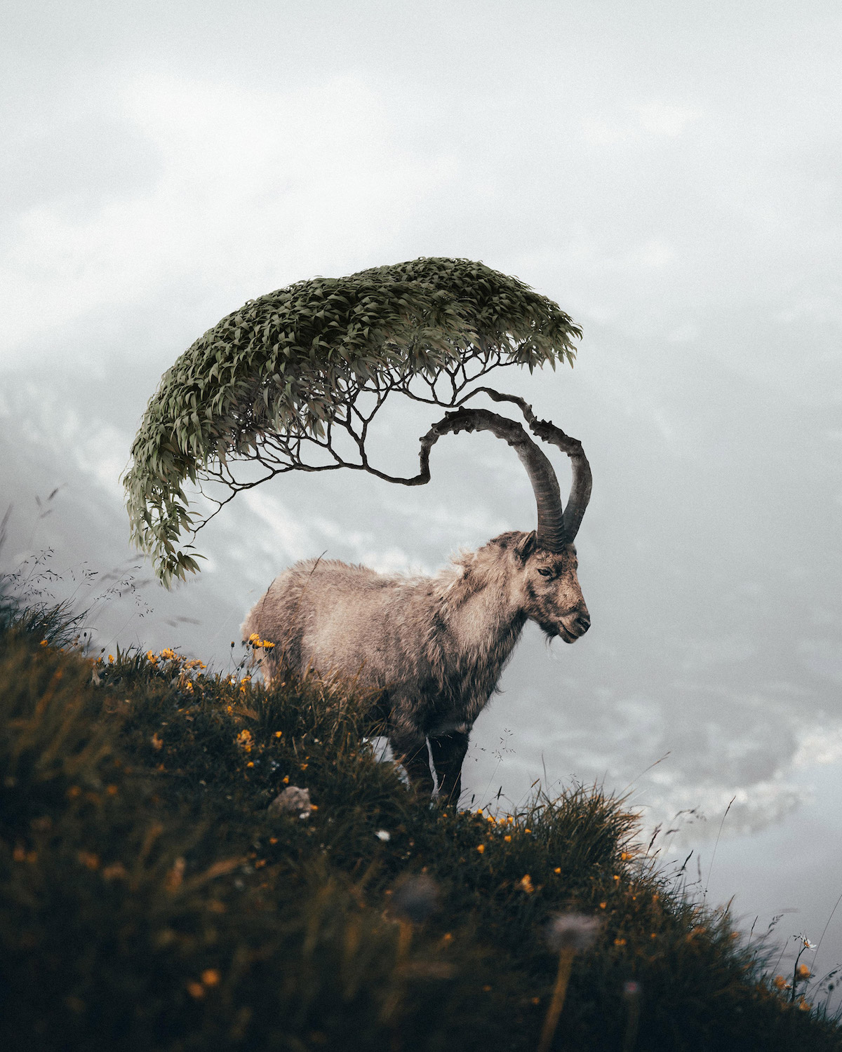Creative Photo Manipulations by Ted Chin
