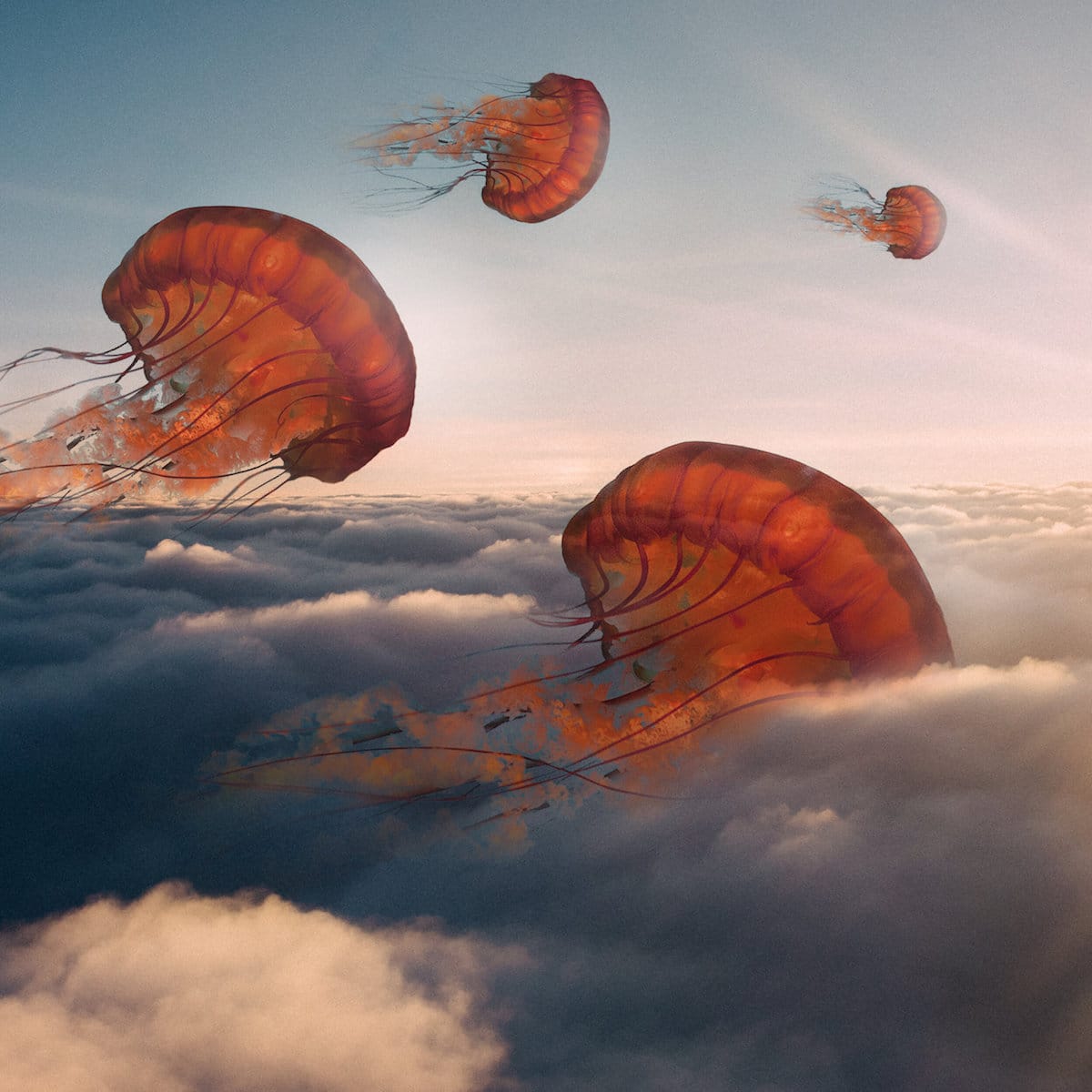 Creative Photo Manipulations by Ted Chin