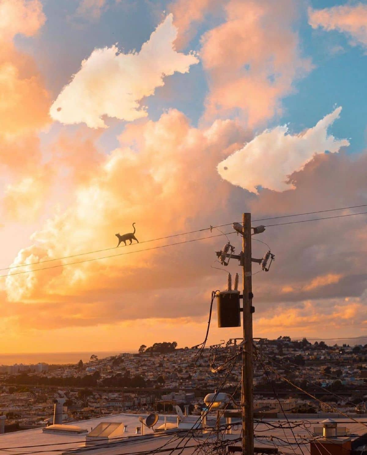 Creative Photo Manipulations by Ted Chin
