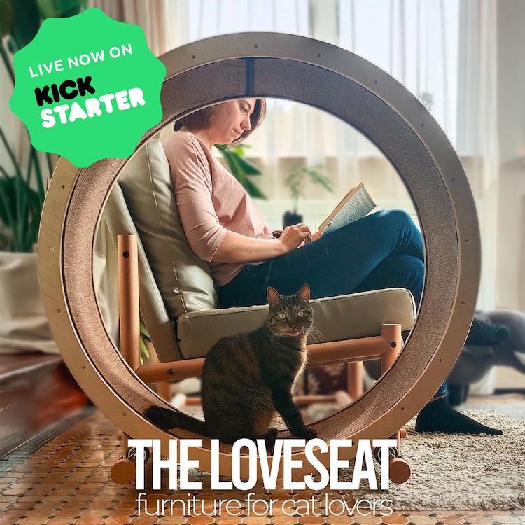 - ViralBandit Cat Exercise Wheel Loveseat by Catham City