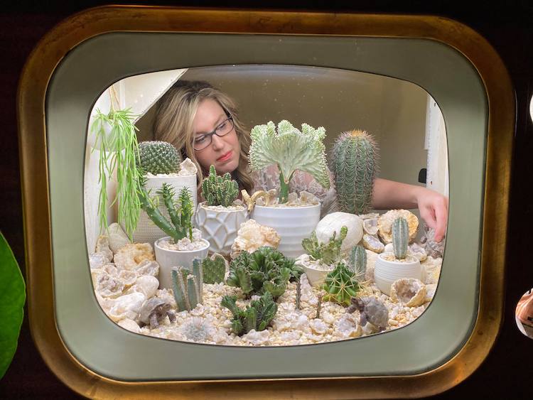 Television Terrarium With Cacti In It