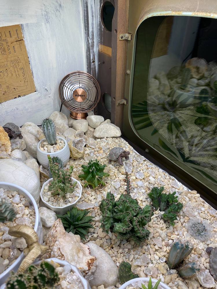 Television Terrarium With Cacti In It