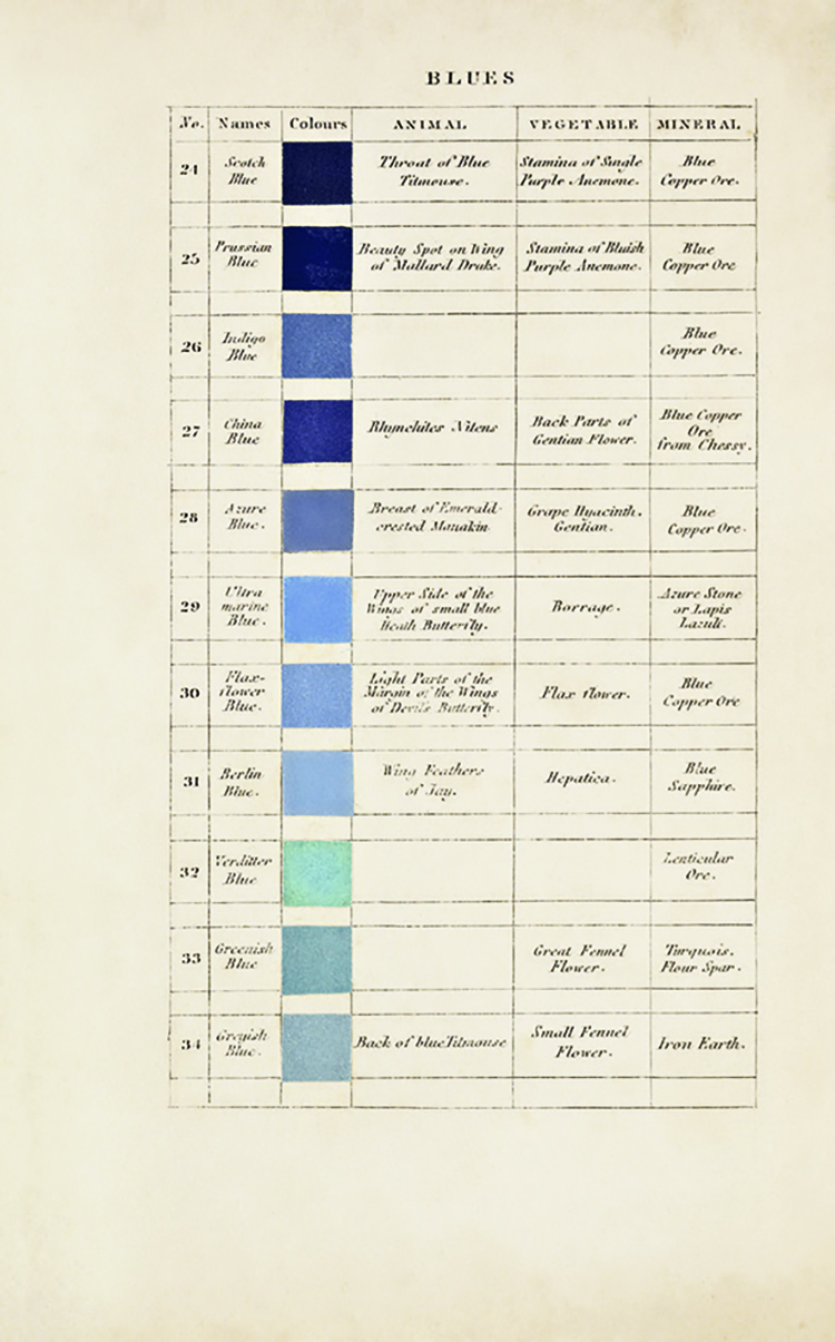 Color Theory Taxonomy Nomenclature