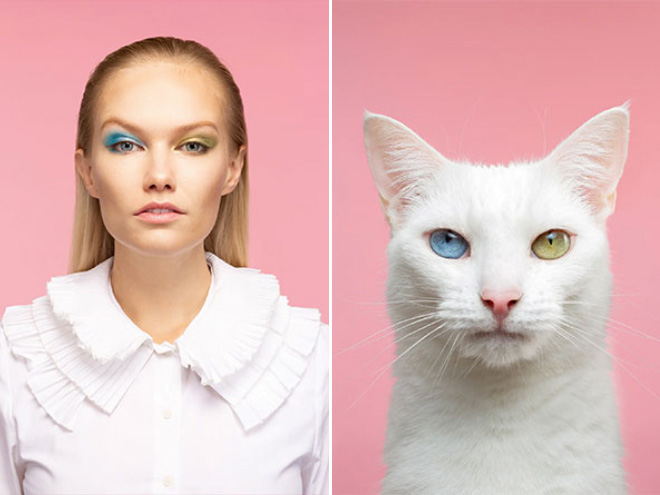 do-you-look-like-your-cat3.jpg - ViralBandit