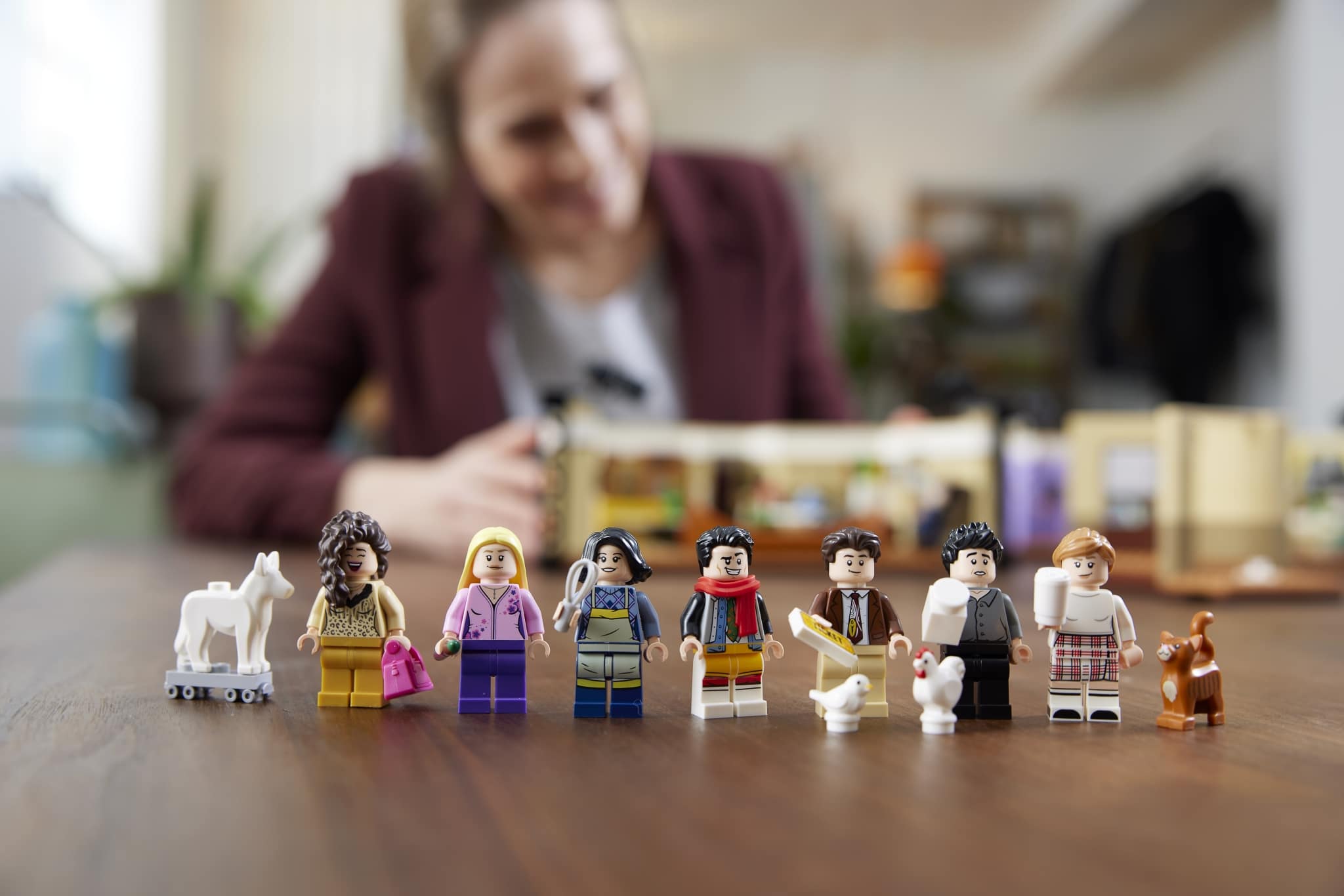 LEGO Friends TV Show
