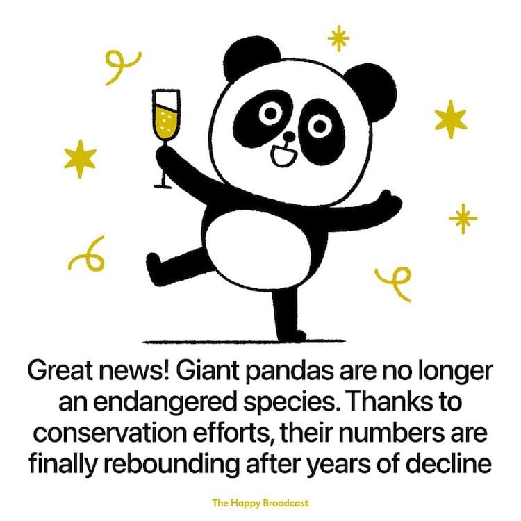 Good News 2021 by The Happy Broadcast
