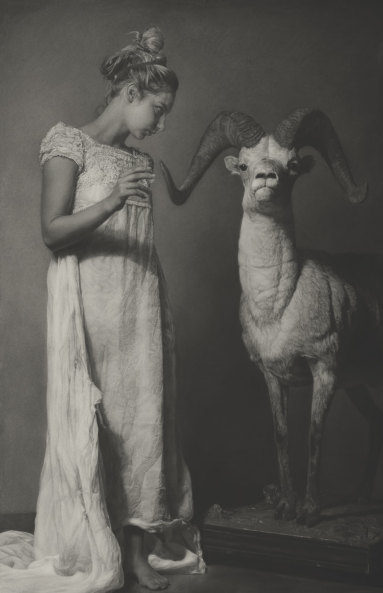Award Winning Charcoal Drawing by Annie Murphy-Robinson
