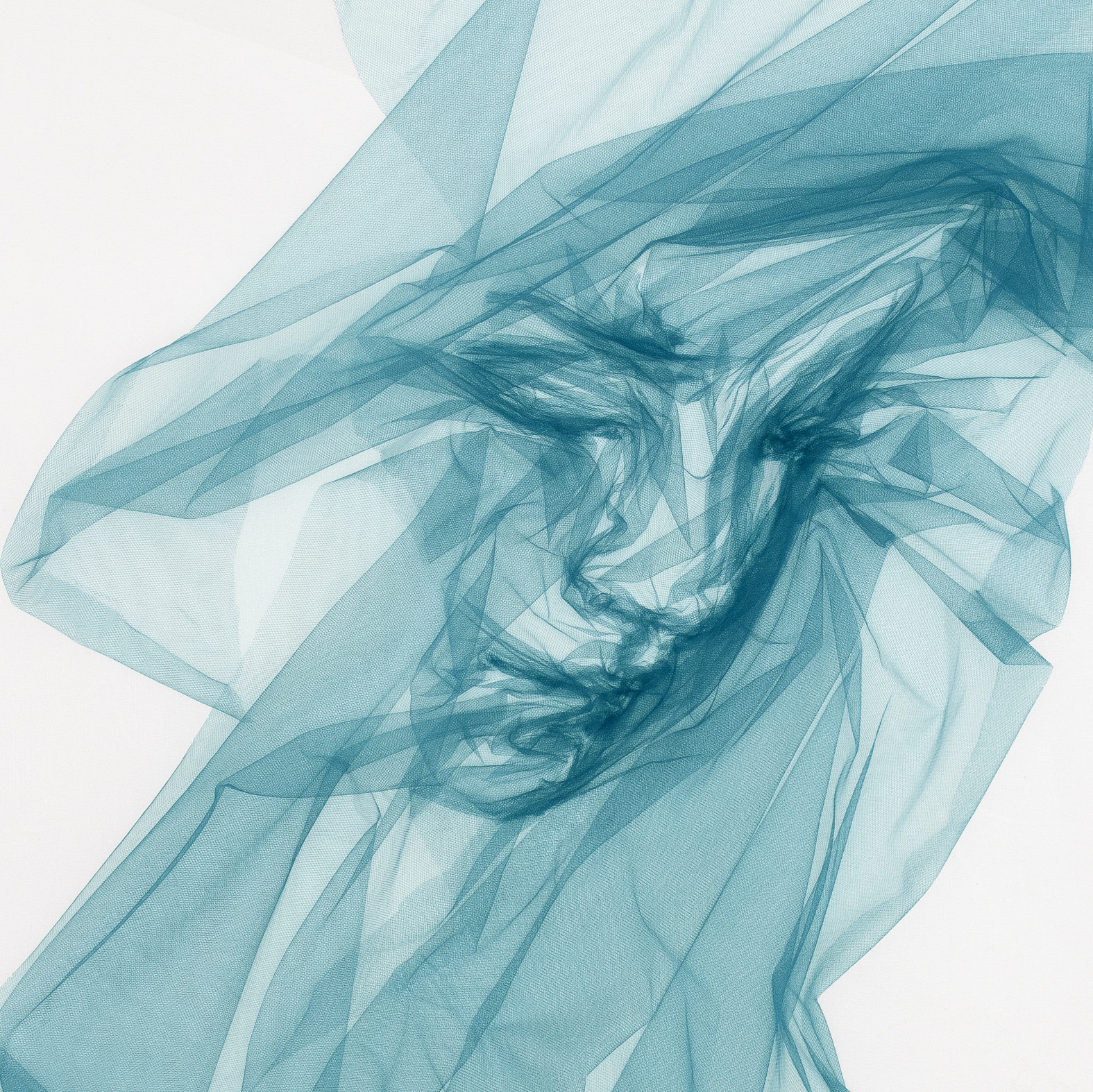Benjamin Shine Tulle Fabric Portraits