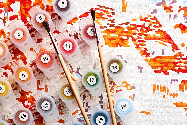 Paint BY Numbers Kit