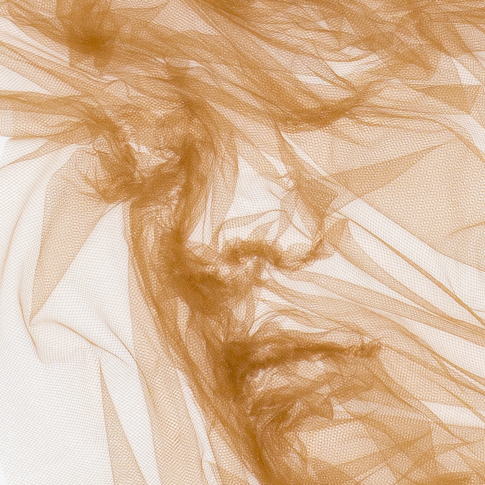 Benjamin Shine Tulle Fabric Portraits