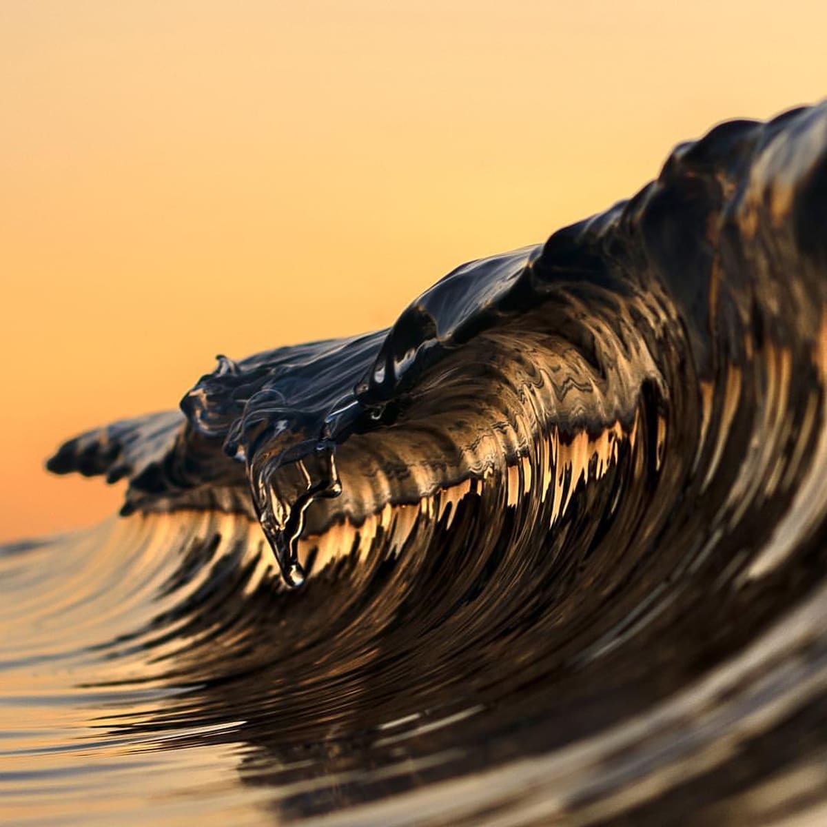 Michal Pelka Wave Photography North Sea