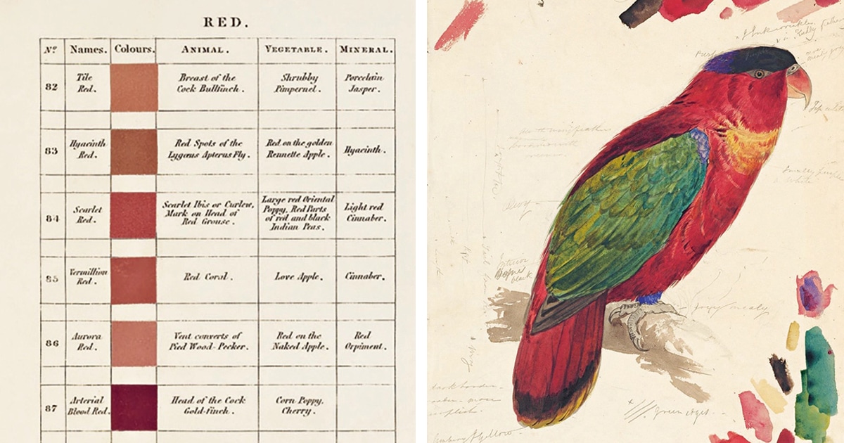 natures-palette-book-thumbnail.jpg - ViralBandit