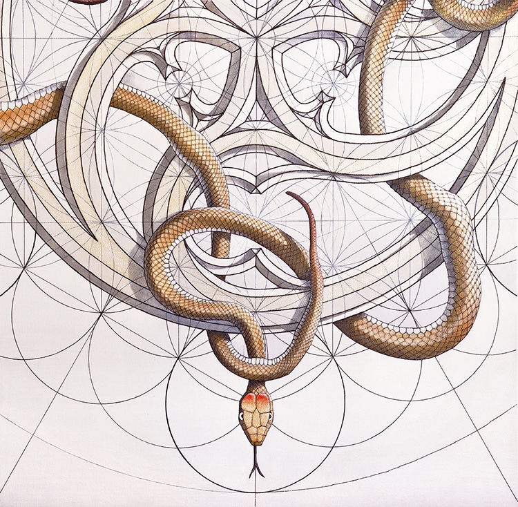 - ViralBandit Coloring Book Art Inspired by the Golden Ratio