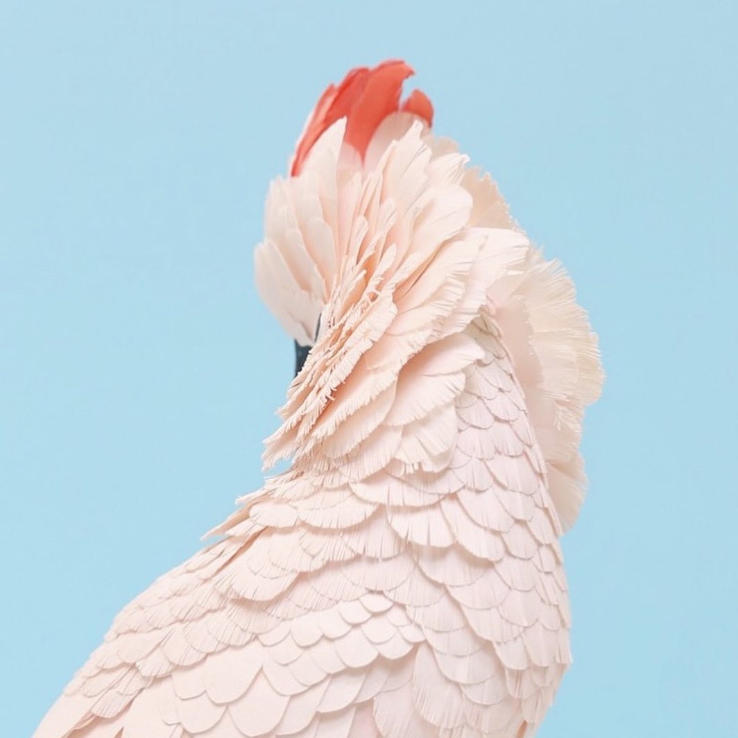 Paper Birds by Diana Beltrán Herrera