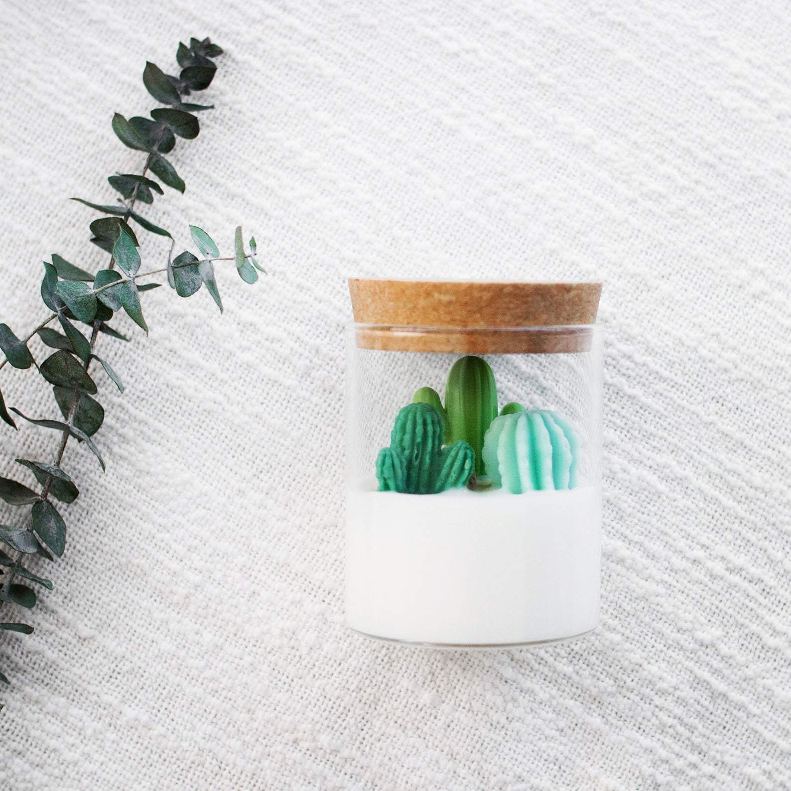 Cacti and Succulent Soy Candles by Zoet Studio