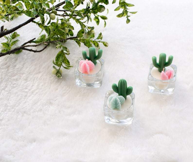 Cacti and Succulent Soy Candles by Zoet Studio