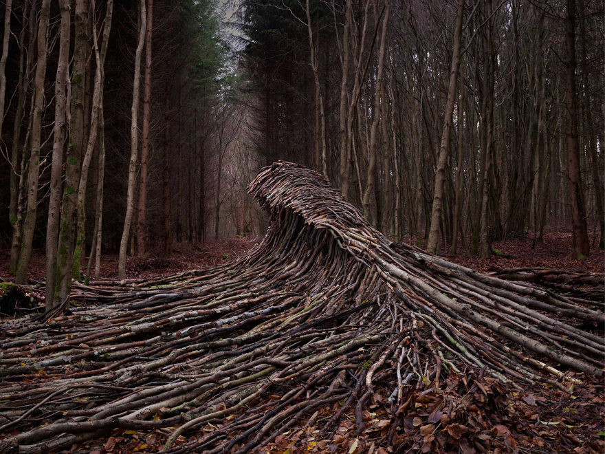 This German Artist Hid 9 Giant Dead Wood Waves In The Woods Of Hamburg Viralbandit