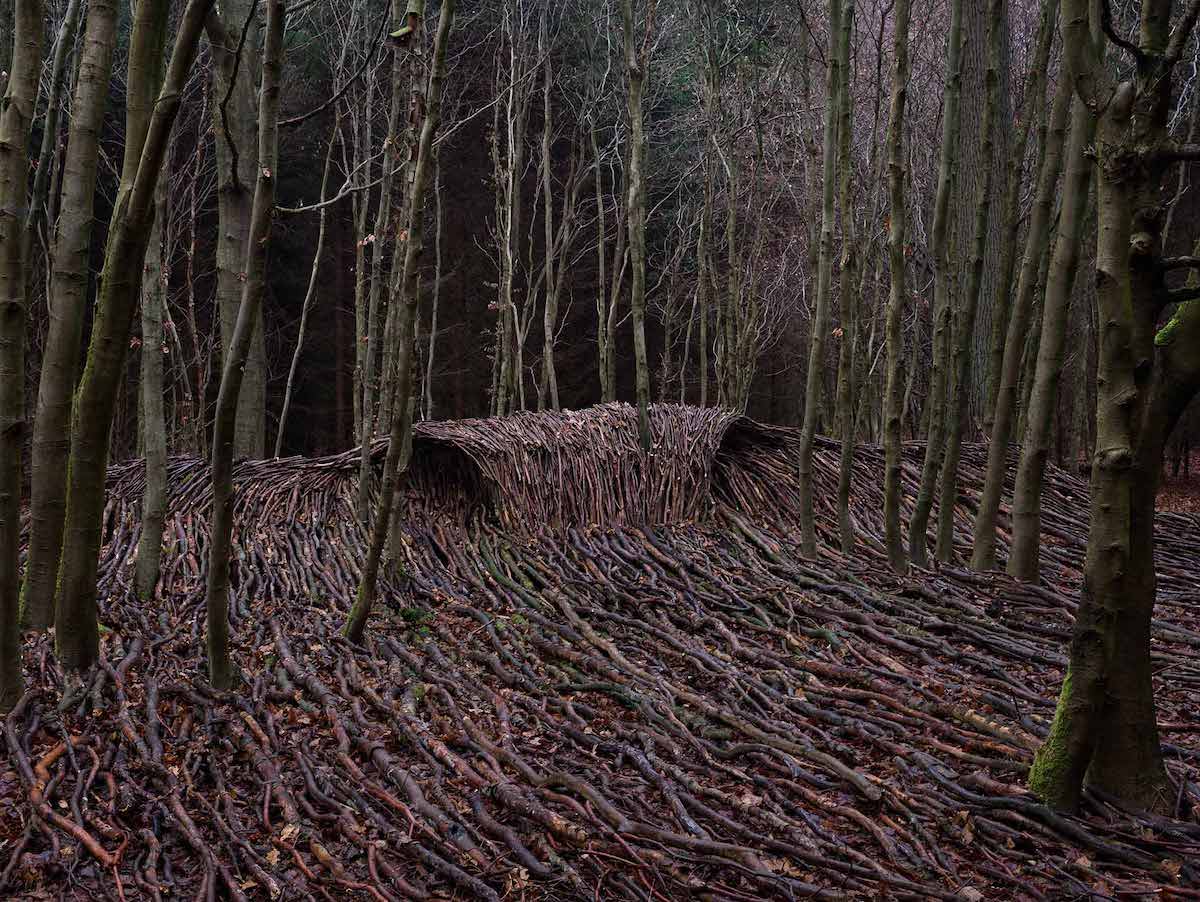 - ViralBandit Jorg Glascher Waves Wood Art Installation