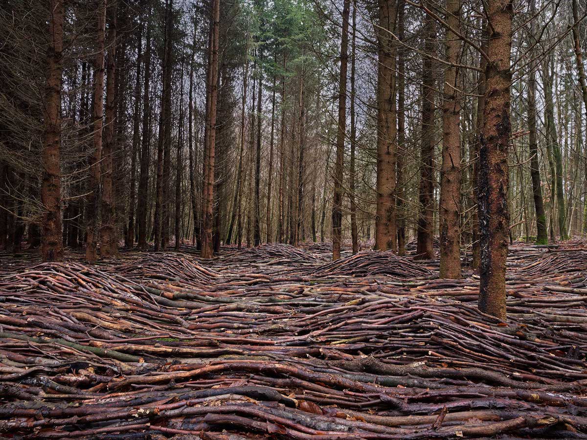 - ViralBandit Covid-19 Second Wave Art Installation