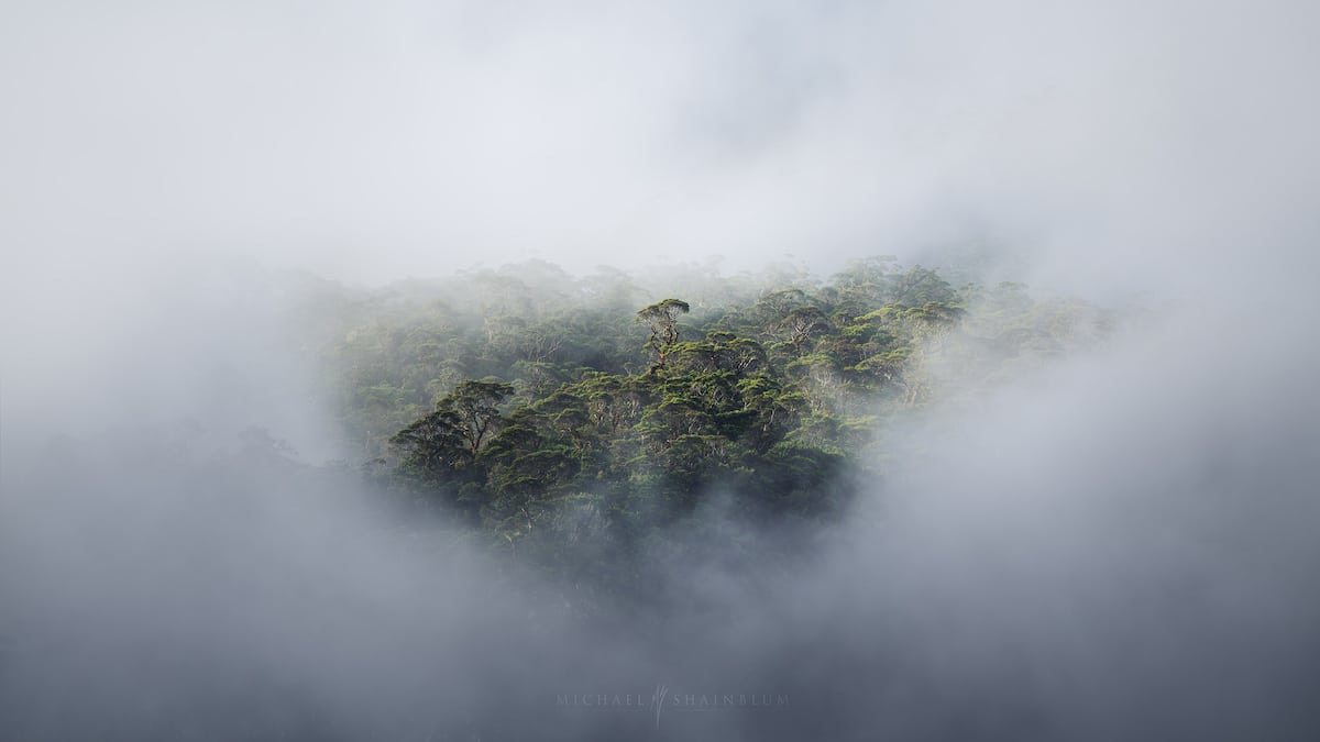 Mist Over the Milford Sound Waterfall in New Zealand by Michael Shainblum