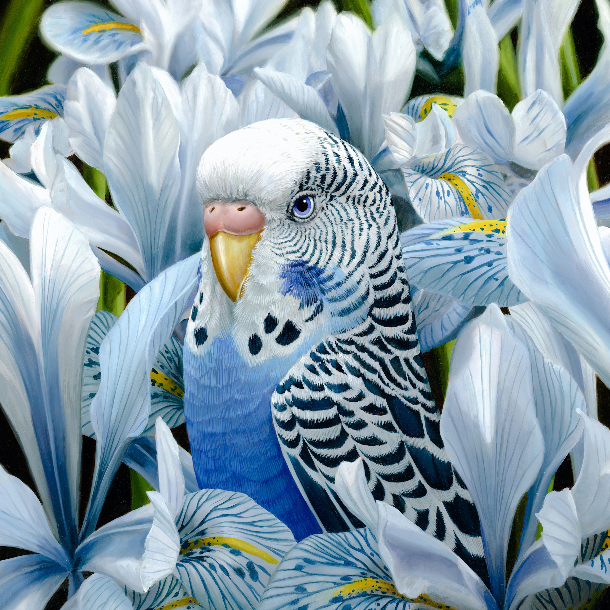 Oil Paintings of Animals by Jon Ching