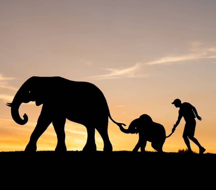 Silhouette Art by John Marshall