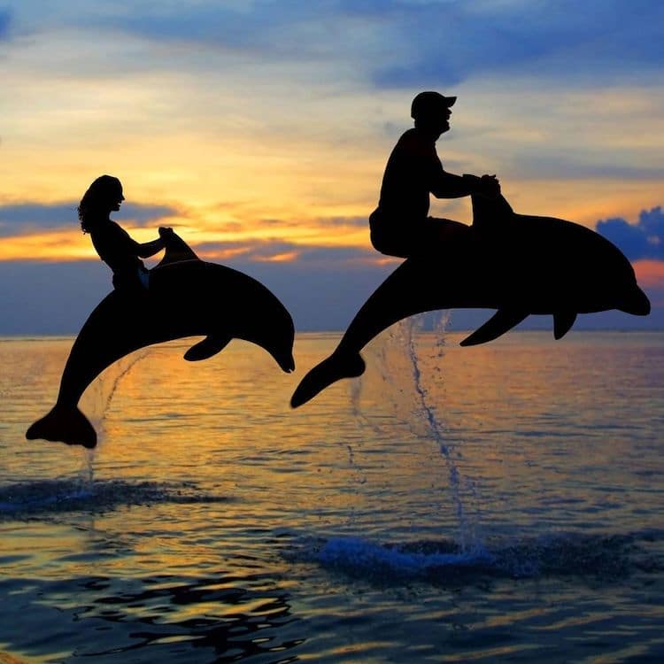 Silhouette Art by John Marshall