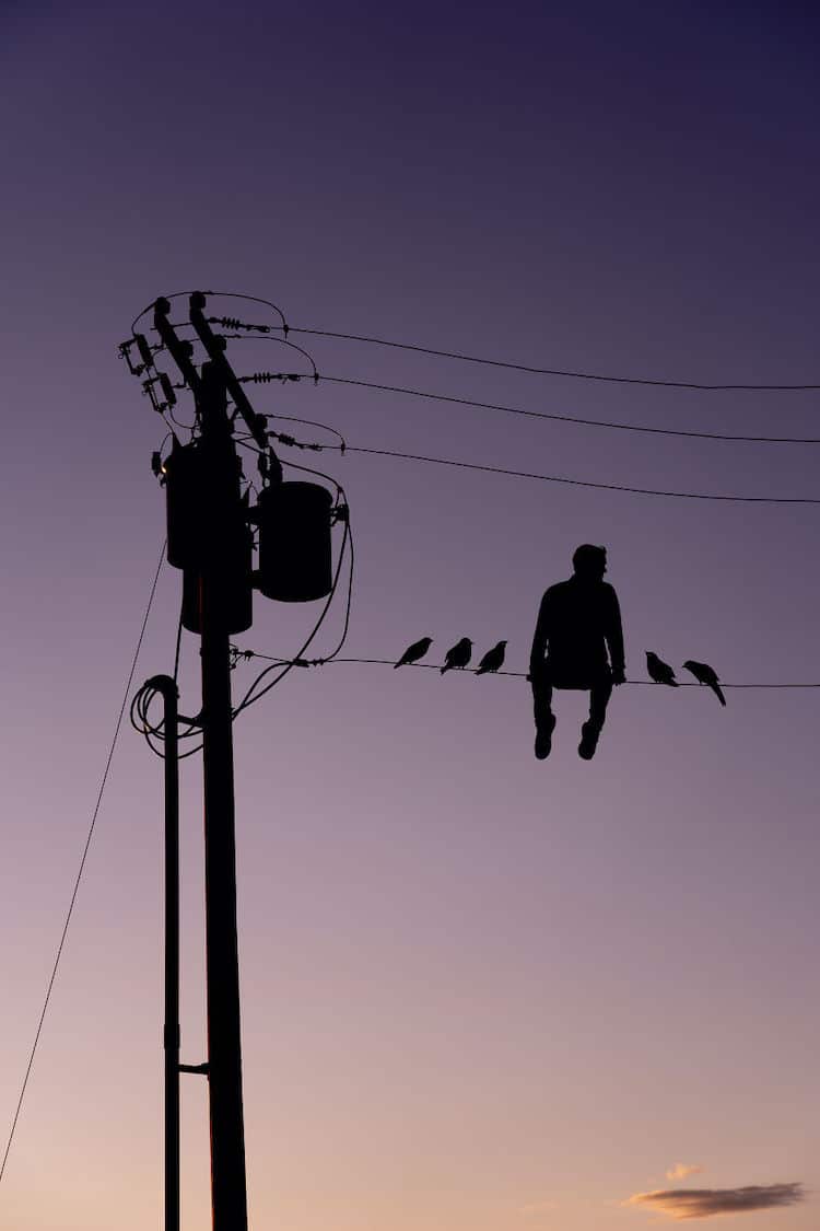 Silhouette Art by John Marshall