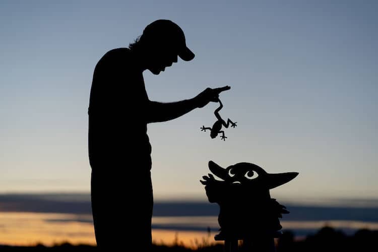 Silhouette Art by John Marshall