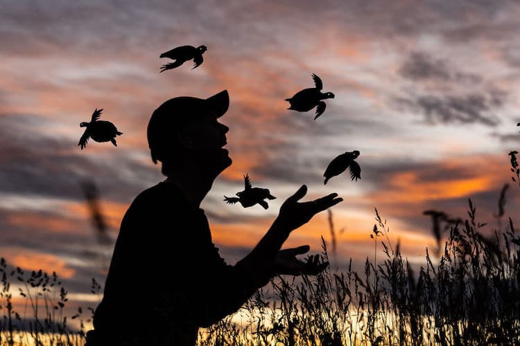 Silhouette Art by John Marshall
