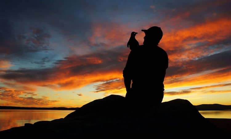 Silhouette Art by John Marshall