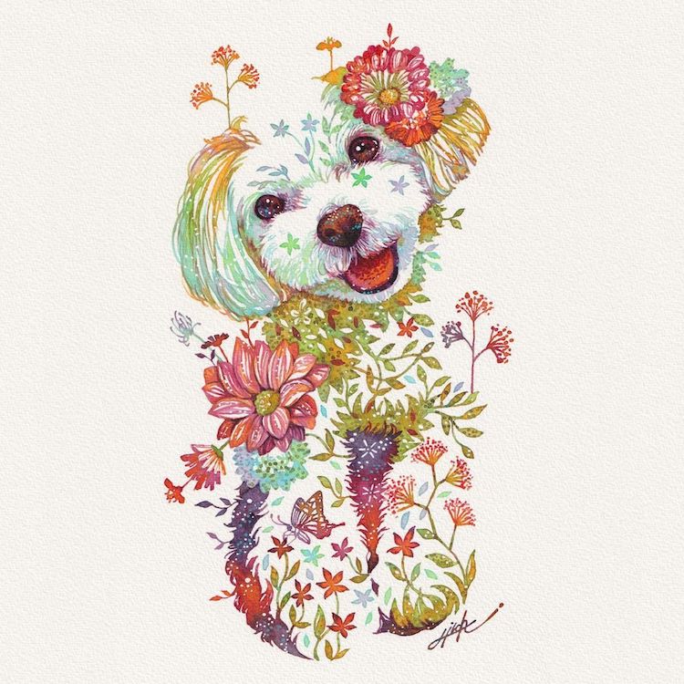 Floral Animal Illustrations by Hiroki Takeda