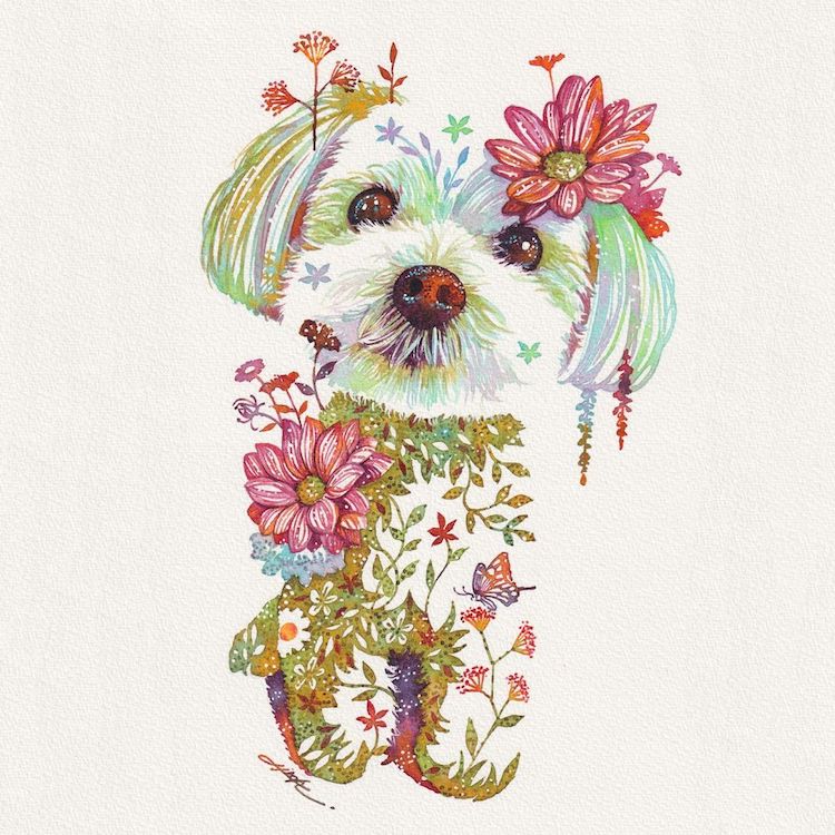 Floral Animal Illustrations by Hiroki Takeda