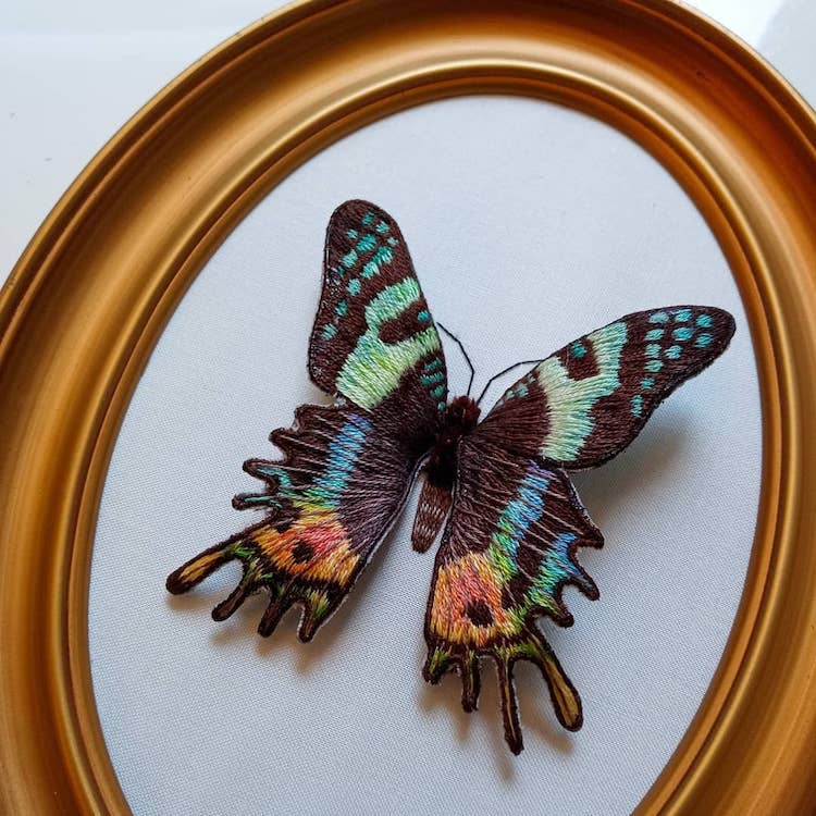 Stumpwork Embroidery Insects by Megan Zaniewski