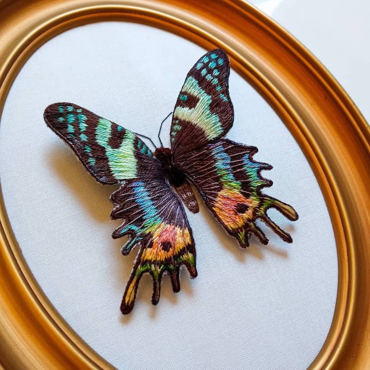 Stumpwork Embroidery Insects by Megan Zaniewski