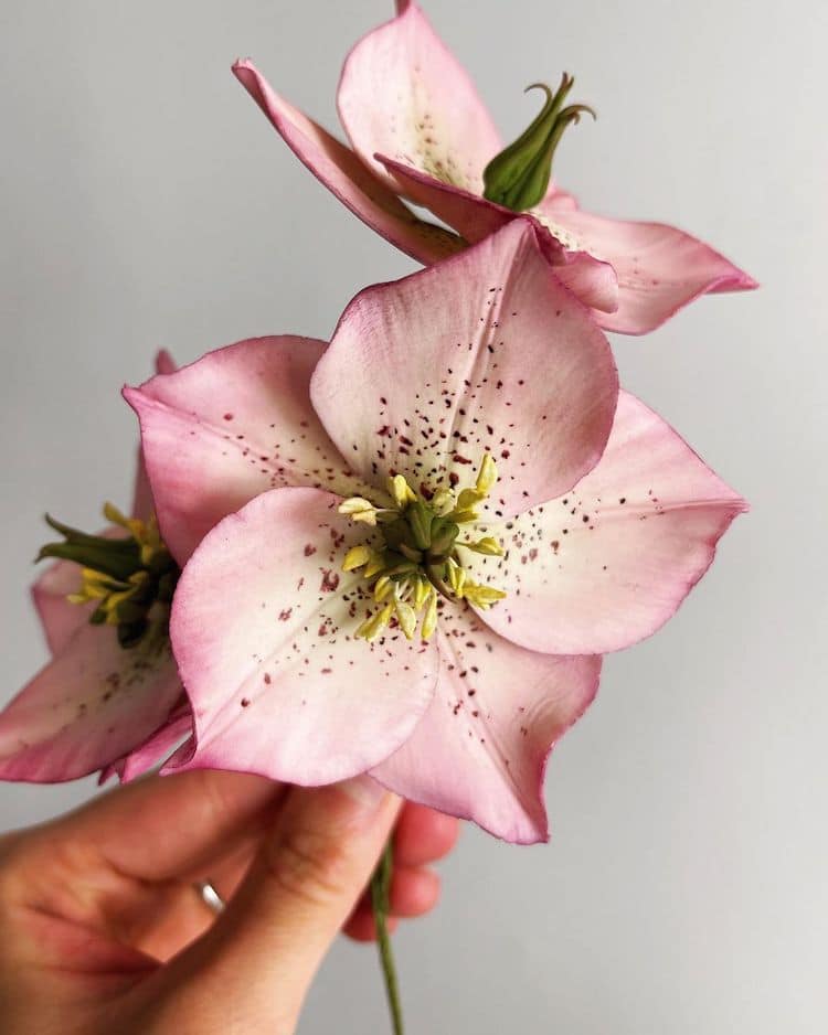 Realistic Sugar Flowers by Finespun Cakes