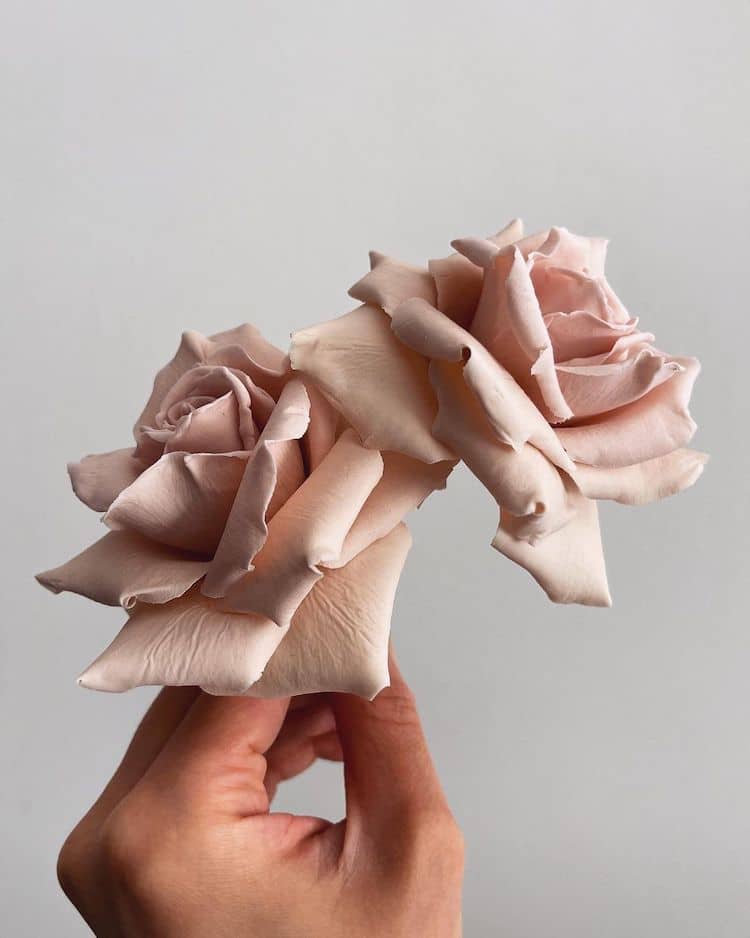 Realistic Sugar Flowers by Finespun Cakes