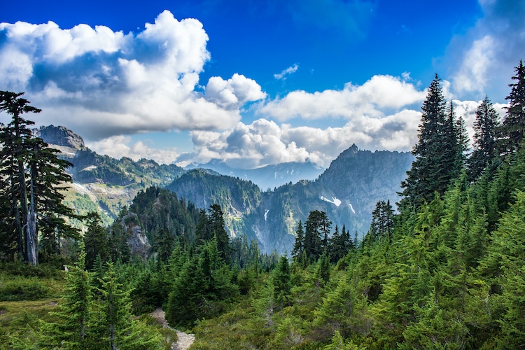 Mountain Landscape
