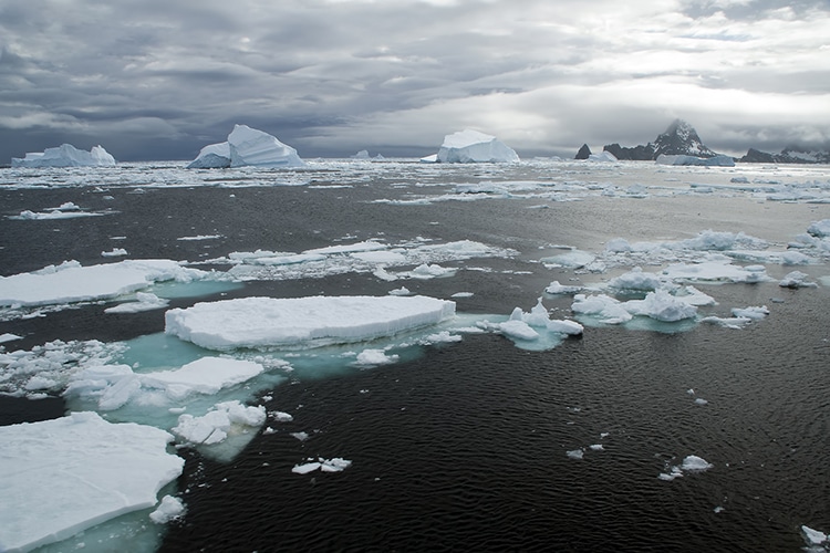 The Southern Ocean Surrounding Antarctica Has At Last Been Recognized by National Geographic