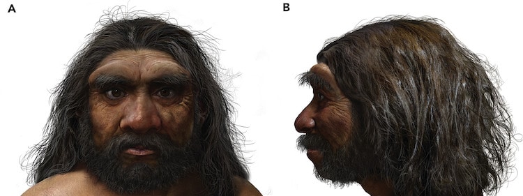 Rendering of the Dragon Man