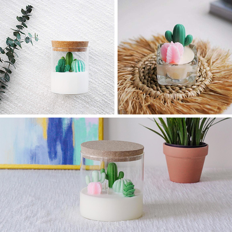 Cacti and Succulent Soy Candles