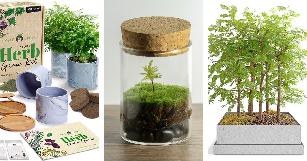 gardening-seed-starter-and-grow-kits-fb.jpg - ViralBandit