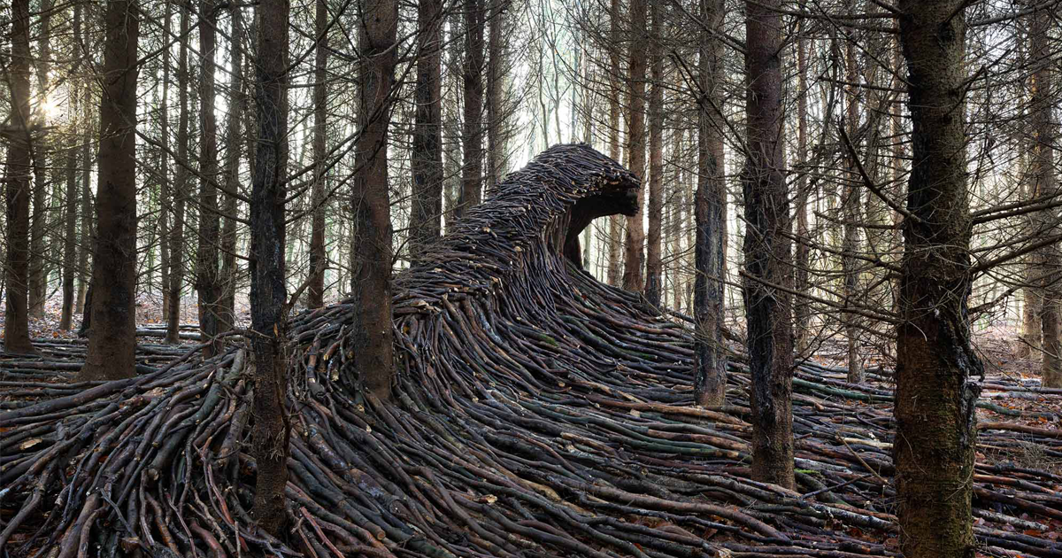 giant-dead-wood-waves-jorg-glascher-fb1.png - ViralBandit