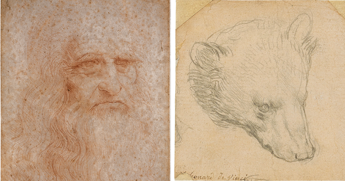 leonardo-da-vinci-head-of-a-bear-christies-auction-fb.jpg - ViralBandit