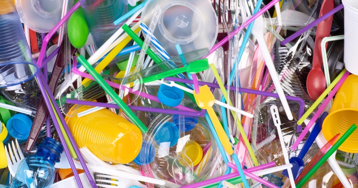 new-zealand-single-use-plastic-ban-thumbnail.jpg - ViralBandit