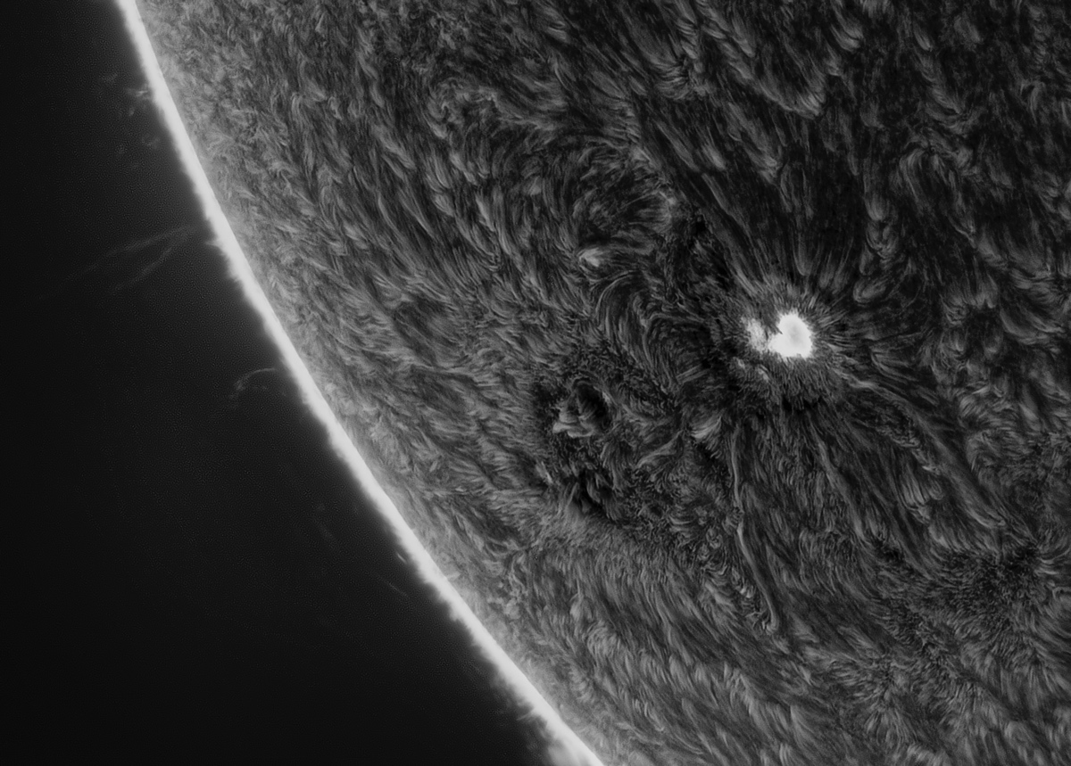Close Up of Sunspot in the Sun